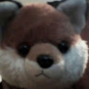 Meet your Posher, Normal fox